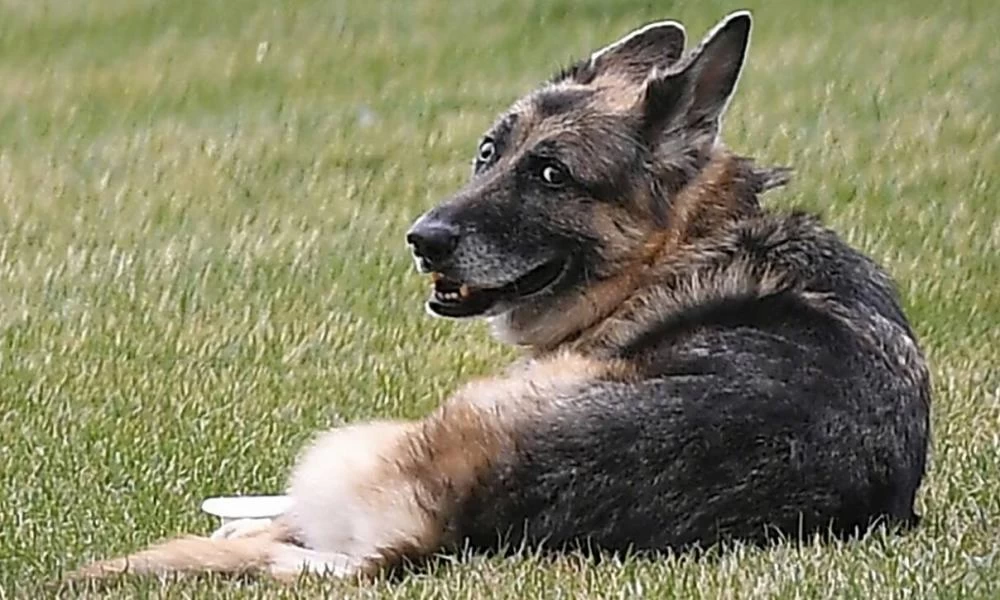 Λευκός Οίκος: Η οικογένεια Μπάιντεν έχασε ένα μέλος της